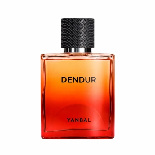 DENDUR EAU DE PERFUME MASCULINO, 100 ML