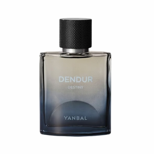 DENDUR DESTINY EAU DE PERFUME MASCULINO, 100 ML