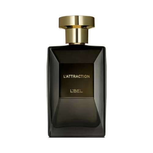 L' ATRATTION PERFUME MASCULINO, 100 ML